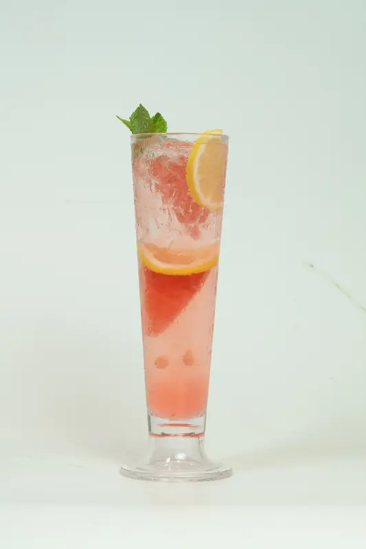 Watermelon Mojito